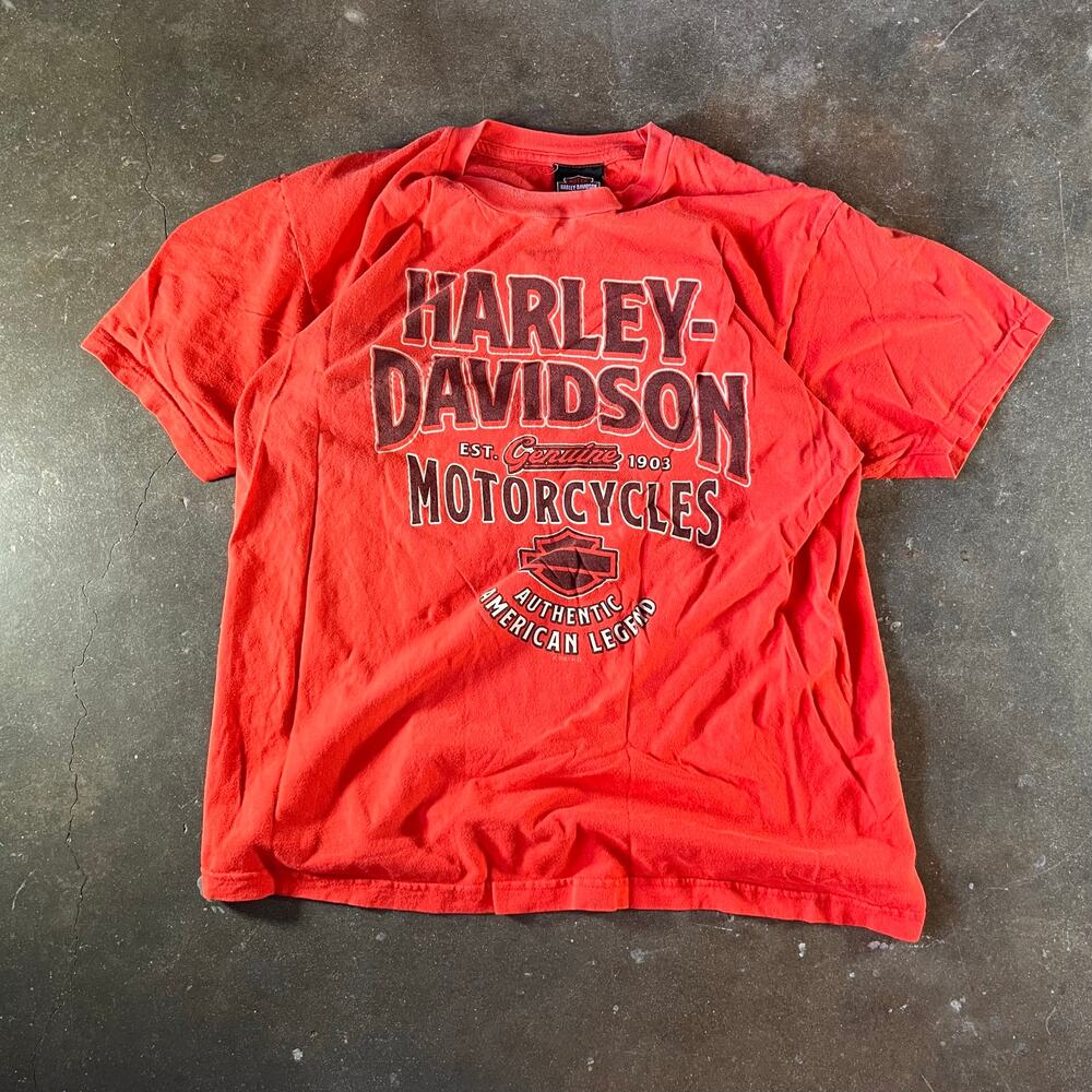 2021 Harley Davidson mile high skull graphic Denver, Colorado biker t-shirt
